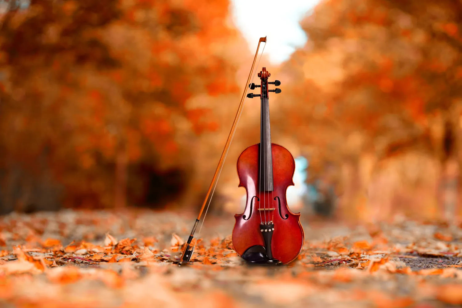 Nauka gry na skrzypcach