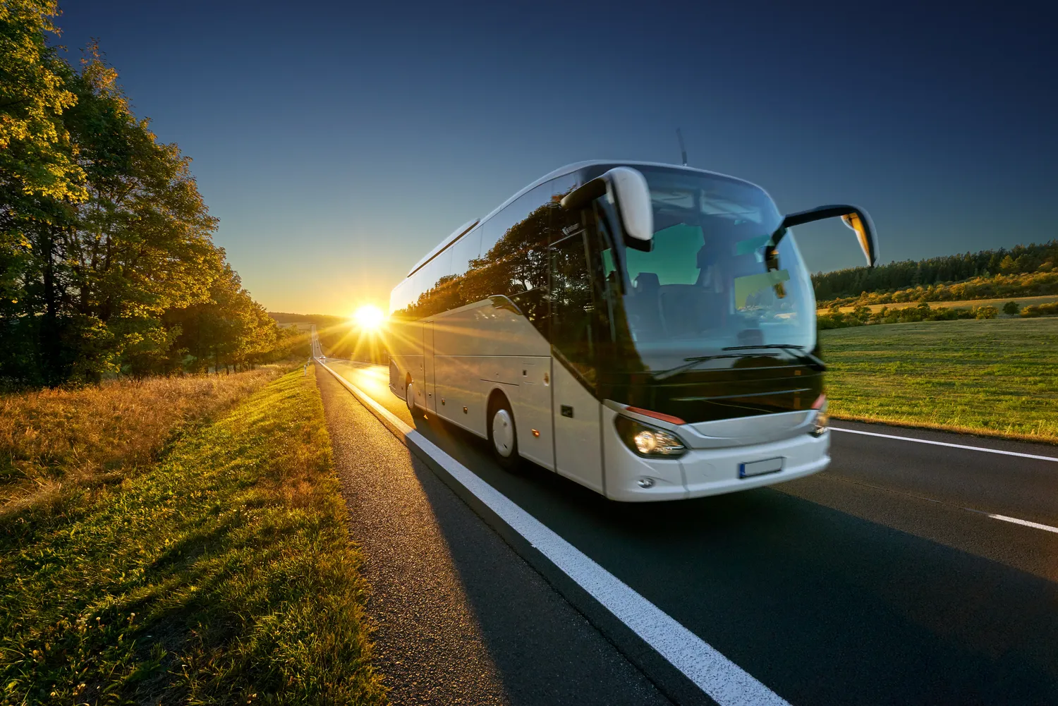 Wynajem autobusów cena Szczecin